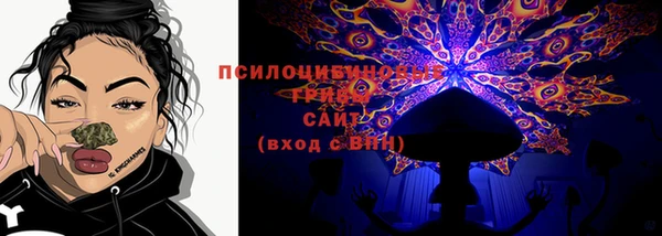 герыч Дмитров